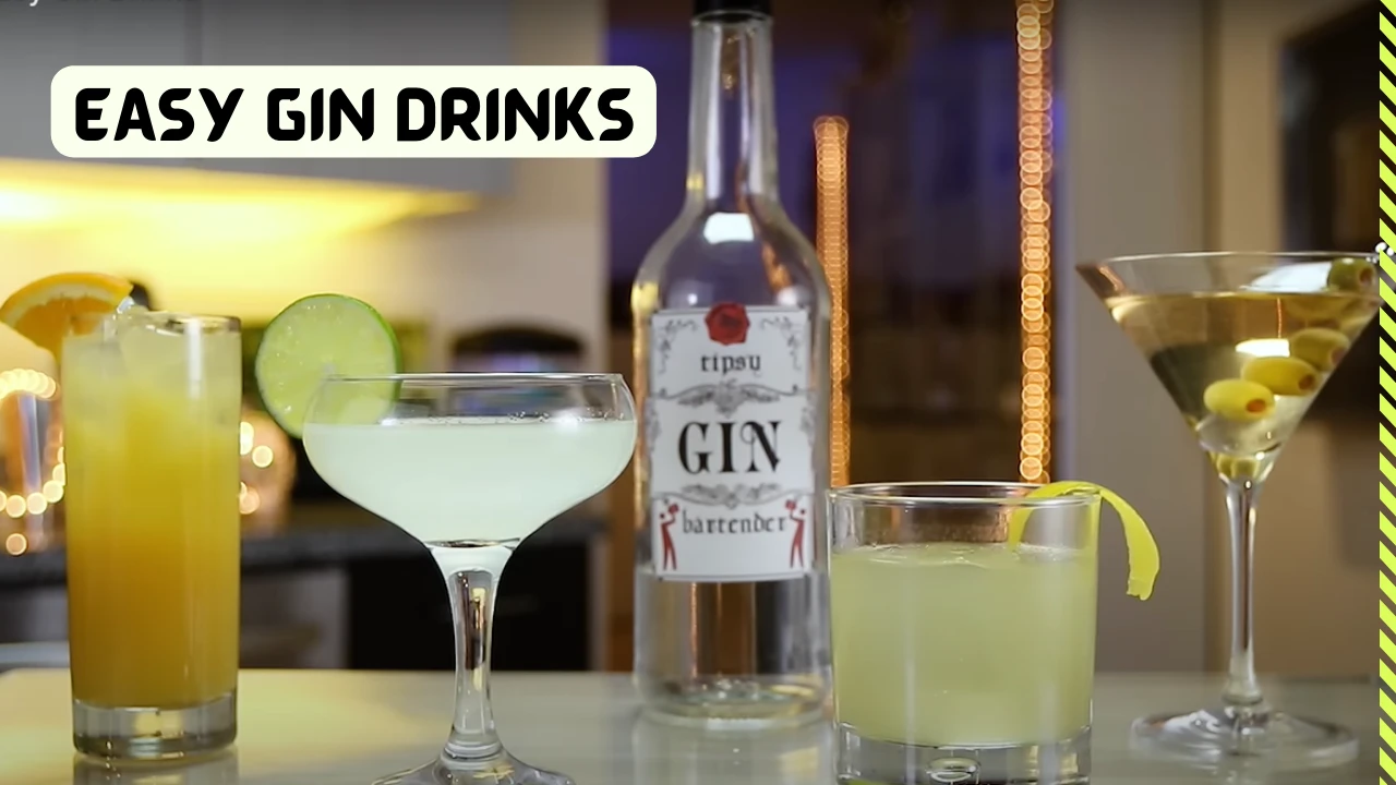 Four Easy Gin Drinks – Step by Step Guide