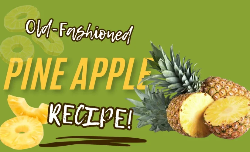Pineapple Juice Recipe